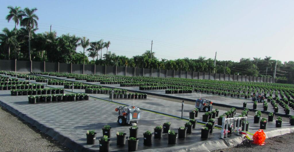 Роботы садовники Роботы садовники