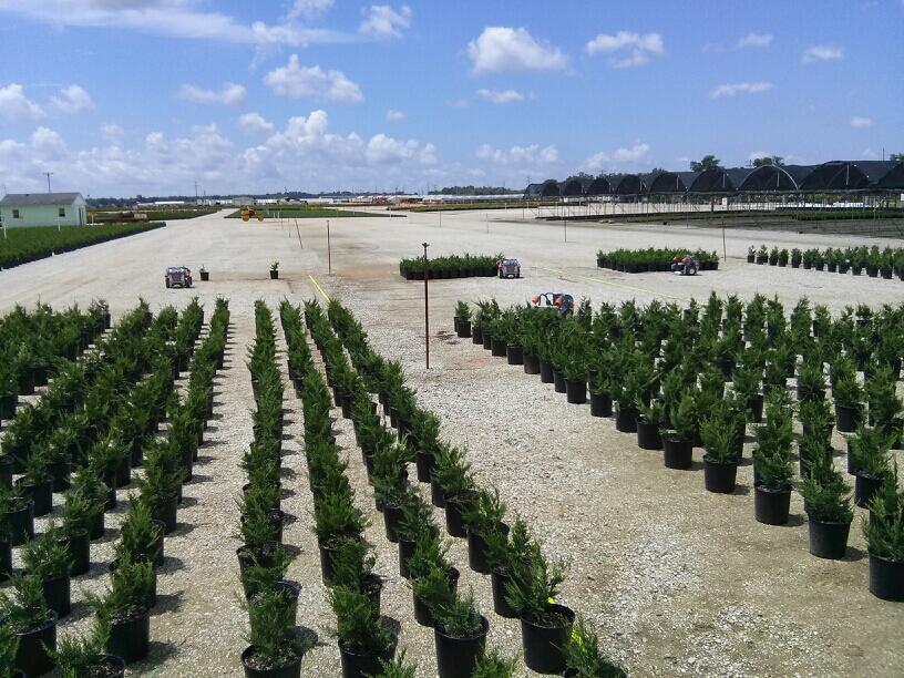 Роботы садовники Роботы садовники