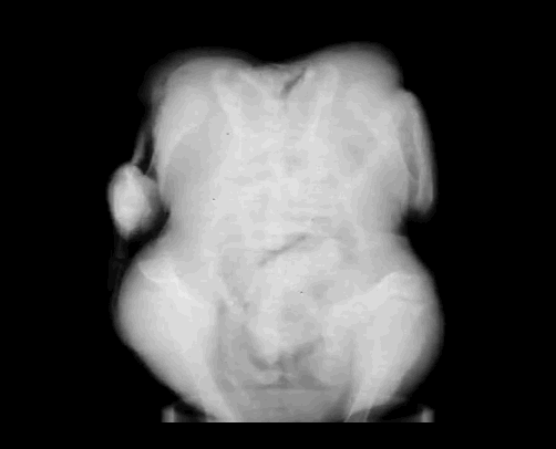 Самодельный рентгеновский компьютерный томограф Самодельный рентгеновский компьютерный томограф