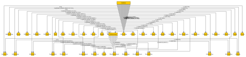 Систематика прокариот — детализированные пояснения Систематика прокариот — детализированные пояснения