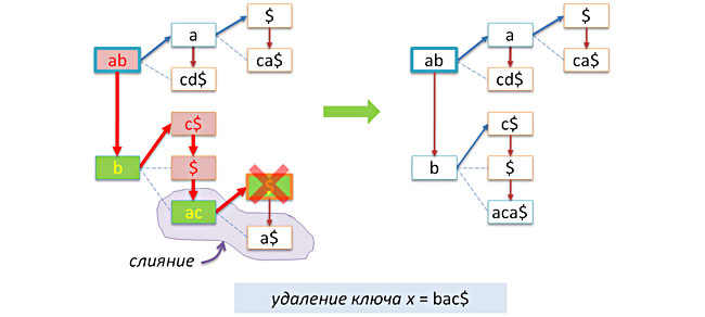 Сжатые префиксные деревья