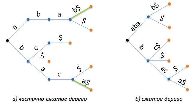 Сжатые префиксные деревья Сжатые префиксные деревья