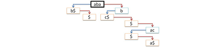 Сжатые префиксные деревья Сжатые префиксные деревья