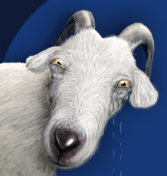 Сколько зарабатывают топовые блогеры ЖЖ? Сколько зарабатывают топовые блогеры ЖЖ?