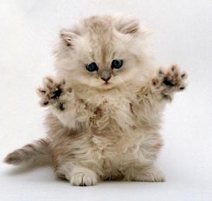 Скрытые возможности Xcode 5 Скрытые возможности Xcode 5