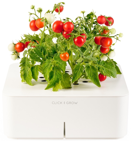 Смартпот: самый простой способ выращивать растения Смартпот: самый простой способ выращивать растения