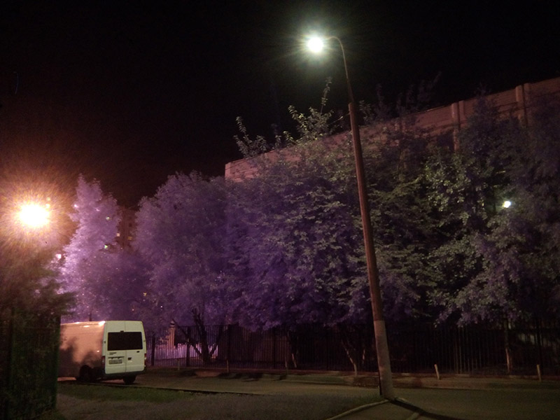 Смотрим на мир глазами рака богомола: ближний инфракрасный диапазон Смотрим на мир глазами рака богомола: ближний инфракрасный диапазон