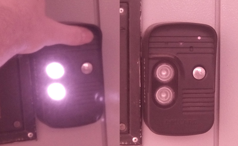 Смотрим на мир глазами рака богомола: ближний инфракрасный диапазон Смотрим на мир глазами рака богомола: ближний инфракрасный диапазон