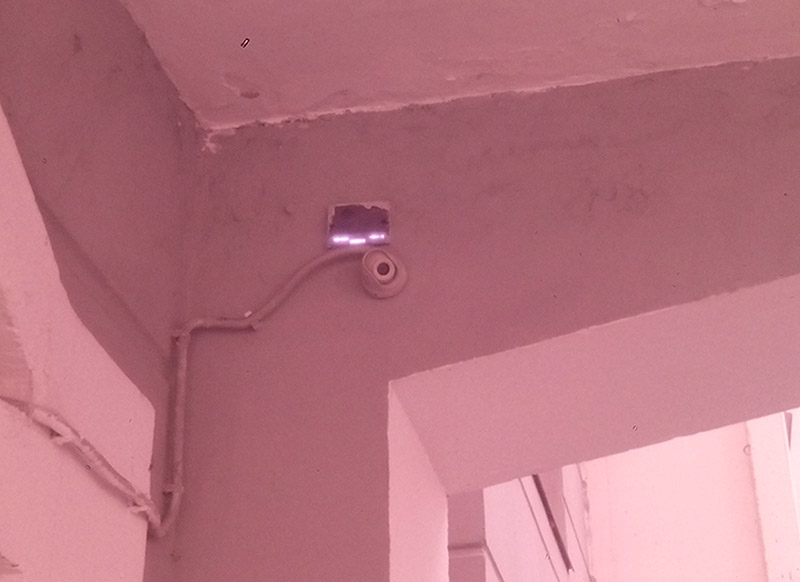 Смотрим на мир глазами рака богомола: ближний инфракрасный диапазон Смотрим на мир глазами рака богомола: ближний инфракрасный диапазон