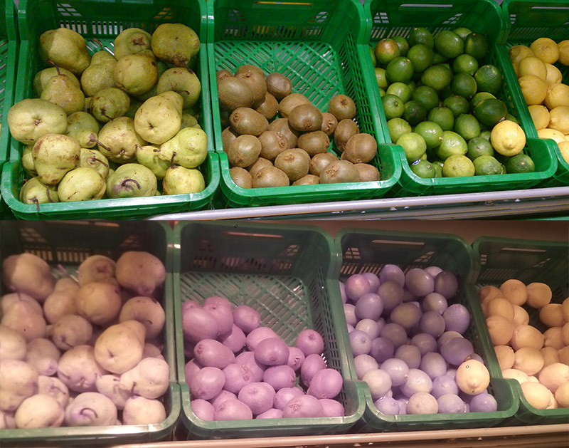 Смотрим на мир глазами рака богомола: ближний инфракрасный диапазон Смотрим на мир глазами рака богомола: ближний инфракрасный диапазон