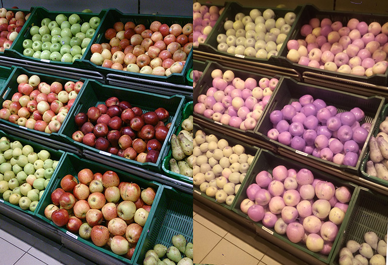 Смотрим на мир глазами рака богомола: ближний инфракрасный диапазон Смотрим на мир глазами рака богомола: ближний инфракрасный диапазон