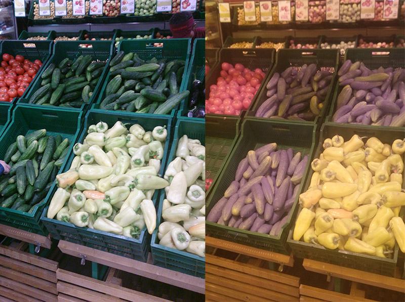 Смотрим на мир глазами рака богомола: ближний инфракрасный диапазон Смотрим на мир глазами рака богомола: ближний инфракрасный диапазон