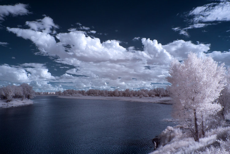 Смотрим на мир глазами рака богомола: ближний инфракрасный диапазон Смотрим на мир глазами рака богомола: ближний инфракрасный диапазон