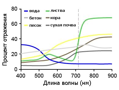 Смотрим на мир глазами рака богомола: ближний инфракрасный диапазон