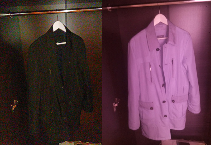 Смотрим на мир глазами рака богомола: ближний инфракрасный диапазон Смотрим на мир глазами рака богомола: ближний инфракрасный диапазон