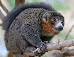 Создание расширений в PostgreSQL Создание расширений в PostgreSQL