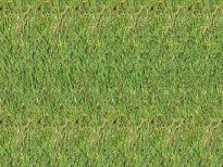 Создание стереограммы на основе трехмерной модели image