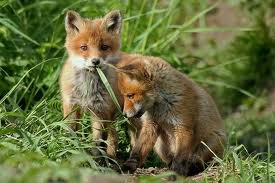 Стабилизируем PHP на бою — что и почему «роняет» веб сервер Стабилизируем PHP на бою — что и почему «роняет» веб сервер