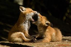 Стабилизируем PHP на бою — что и почему «роняет» веб сервер Стабилизируем PHP на бою — что и почему «роняет» веб сервер