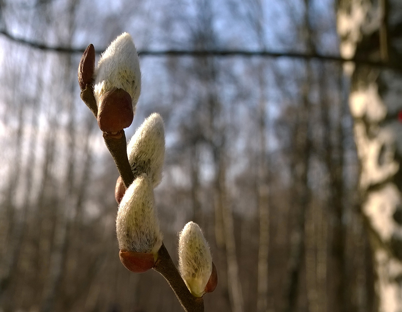 Сумма мнений: что говорят пользователи в тест драйвах Nokia Lumia 1520 Сумма мнений: что говорят пользователи в тест драйвах Nokia Lumia 1520