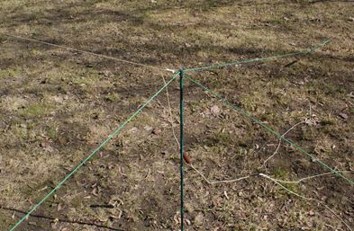 Теория радиоволн: антенны image