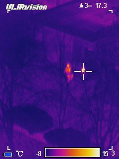 Тепловизор: смотрим на мир глазами Хищника Тепловизор: смотрим на мир глазами Хищника