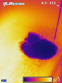 Тепловизор: смотрим на мир глазами Хищника Тепловизор: смотрим на мир глазами Хищника