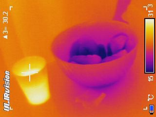 Тепловизор: смотрим на мир глазами Хищника Тепловизор: смотрим на мир глазами Хищника
