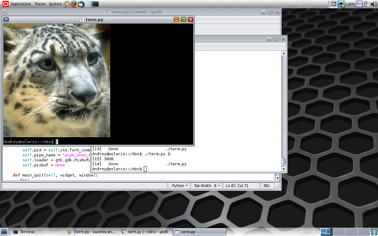 Терминал с картинками на python: proof of concept Терминал с картинками на python: proof of concept