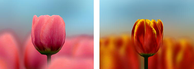 Трехмерные живые обои и OpenGL ES Трехмерные живые обои и OpenGL ES