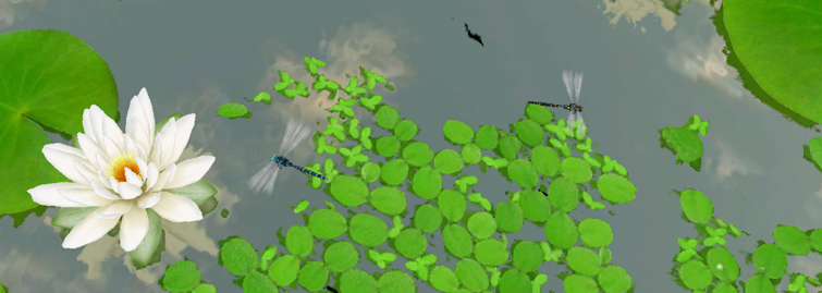 Трехмерные живые обои и OpenGL ES Трехмерные живые обои и OpenGL ES