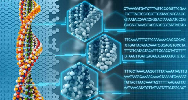 Учёные из Гарварда записали 643 килобайта данных в молекулу ДНК