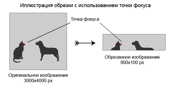 Умная обрезка картинок с использованием точки фокуса image