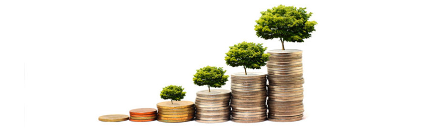 Ускоренная разработка веб/мобильного приложения CxInvestor