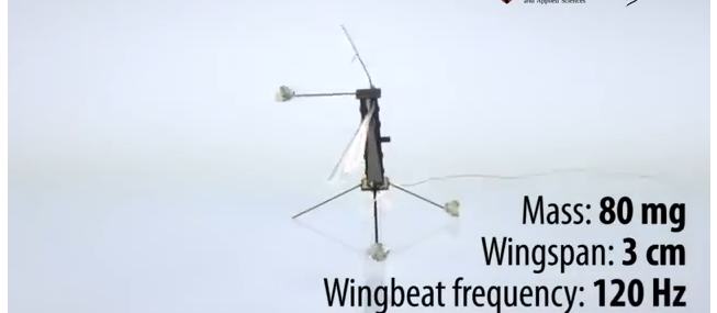 В Гарварде создали миниатюрного робота комара (+видео)