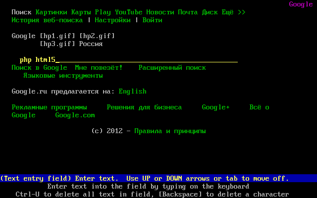 В интернет из под DosBox. Текстовые и графические браузеры для Dosа