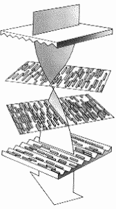 В мире жидких кристаллов с чашкой кофе в руке