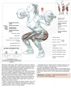 В мире жидких кристаллов с чашкой кофе в руке