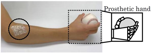 Разработка японских ученых позволит вывести электромиографию на новый уровень