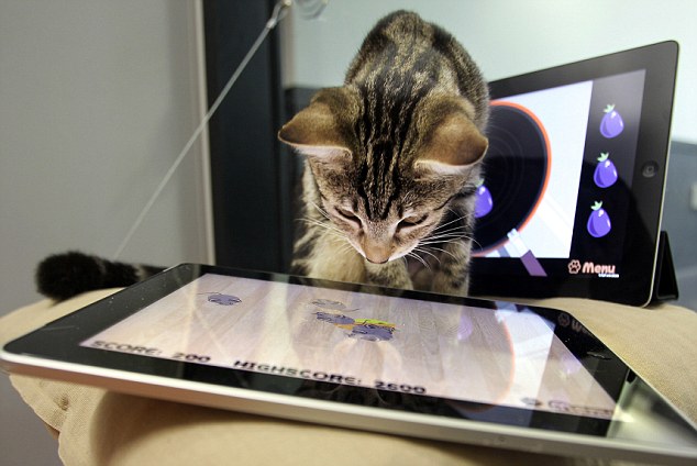 Влияние котиков на развитие технологий