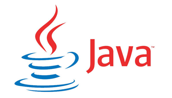 Во Львове просят предоставить Java статус регионального языка *