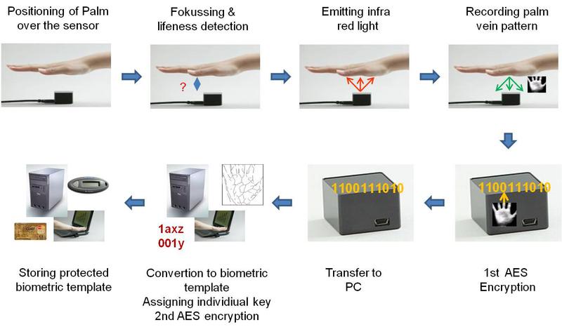 Войти с миром или технология распознавания по рисунку вен Fujitsu PalmSecure