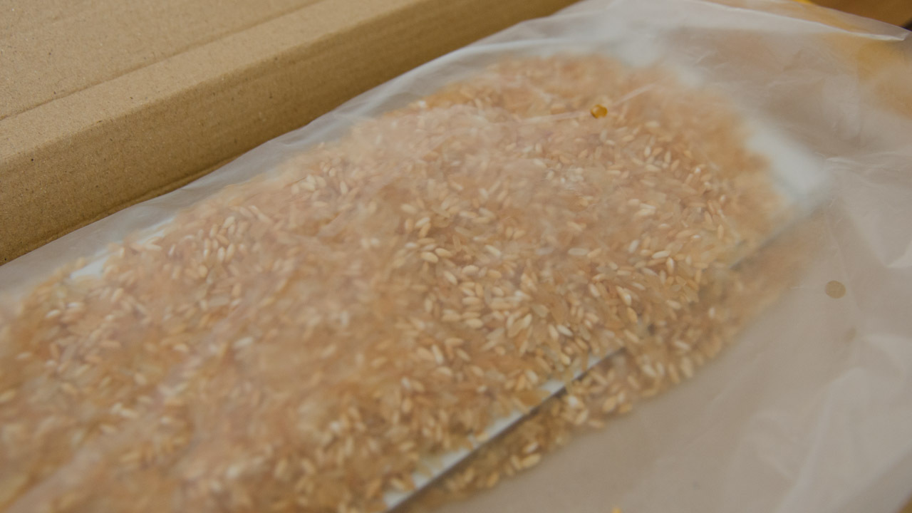 Восстановить Apple keyboard aluminium после попадания жидкости Восстановить Apple keyboard aluminium после попадания жидкости