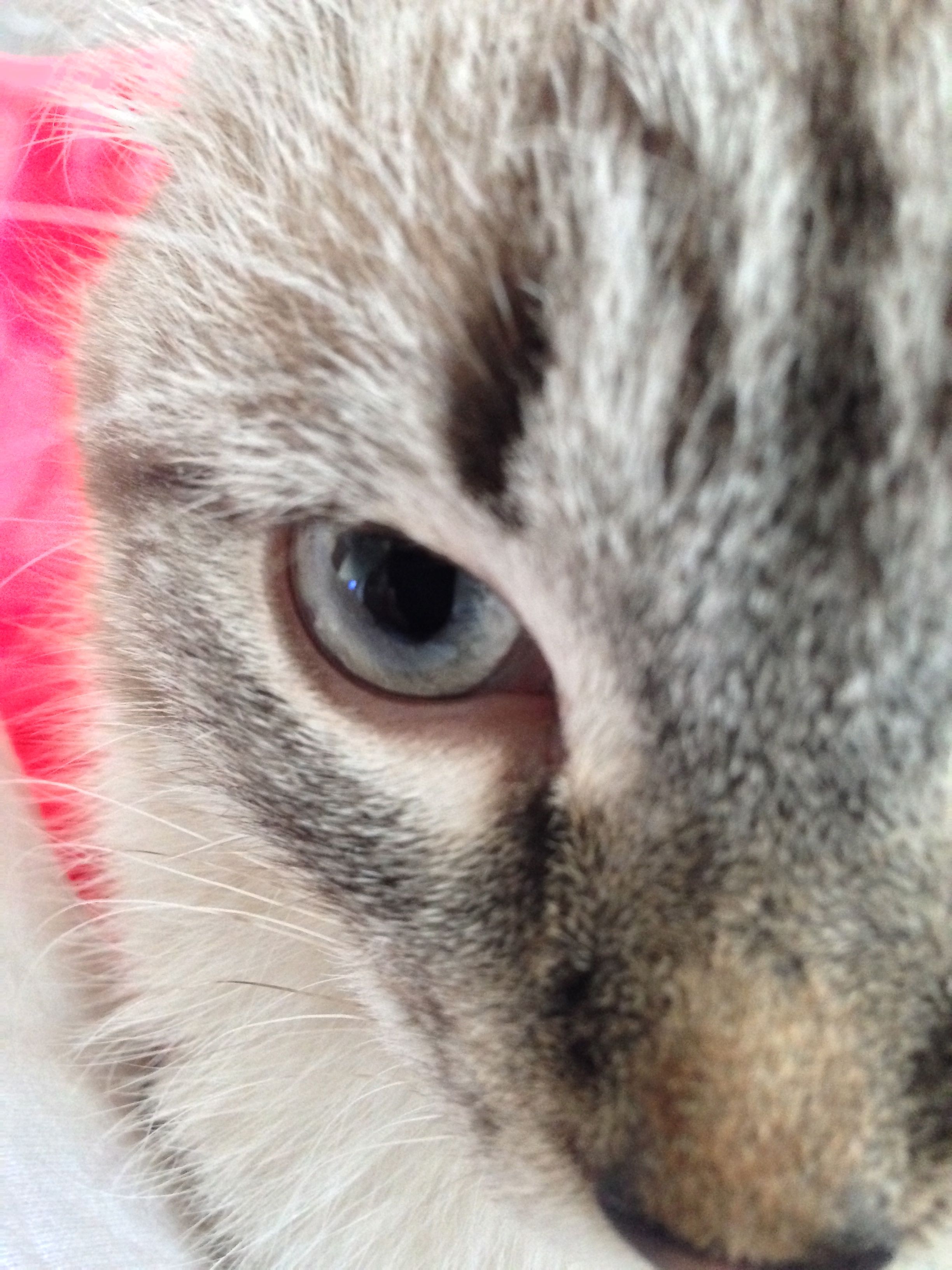 Все мои ошибки в одном месте или «Как я пытался разместить проект на Boomstarter.ru»