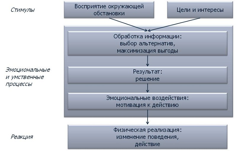 Введение в моделирование пешеходных потоков