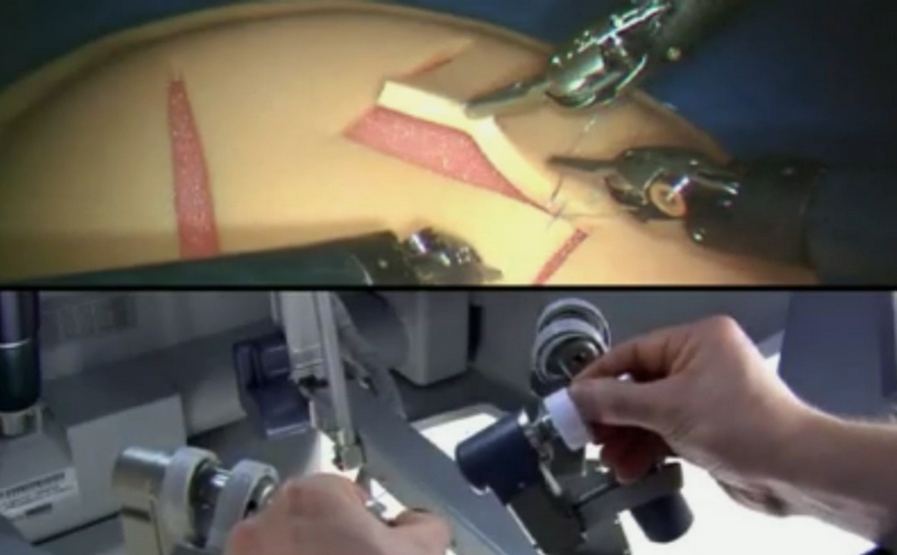 Выступление Кена Голдберга на RCC 2013 Выступление Кена Голдберга на RCC 2013