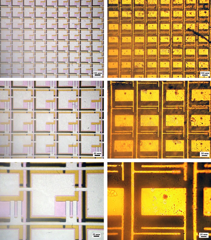 Взгляд изнутри: Plastic Logic Взгляд изнутри: Plastic Logic