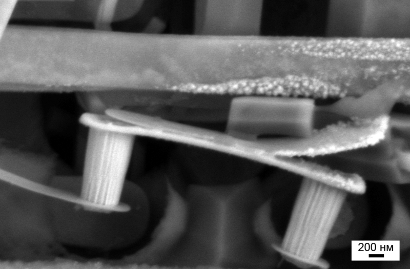 Взгляд изнутри: RFID и другие метки Взгляд изнутри: RFID и другие метки