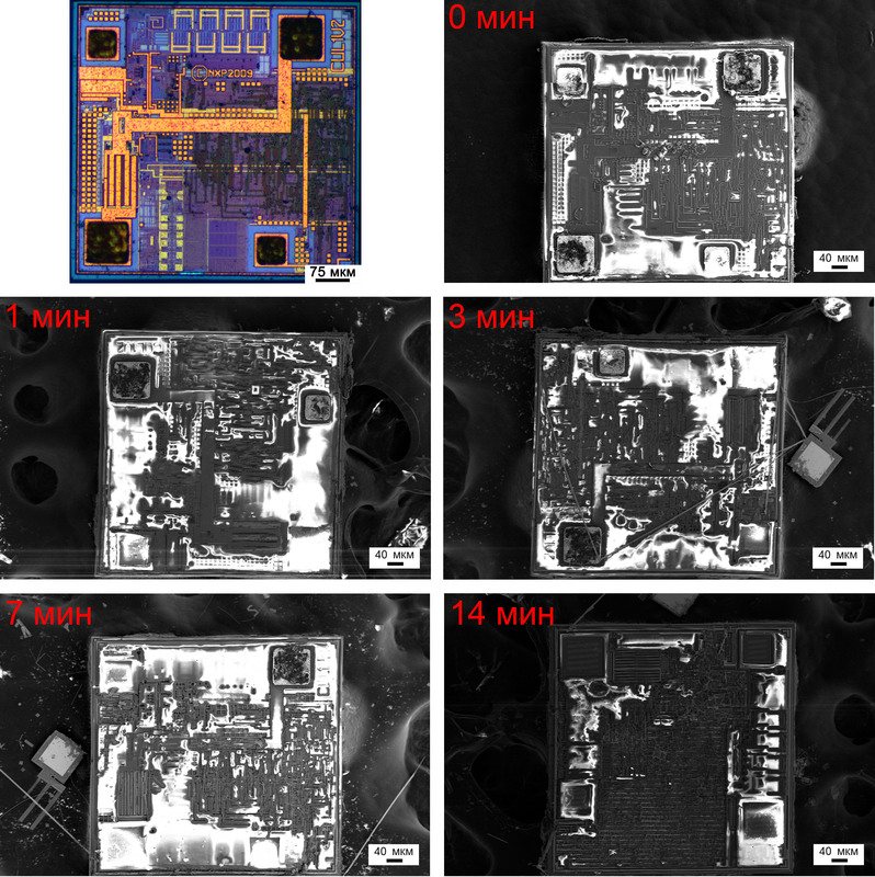 Взгляд изнутри: RFID и другие метки