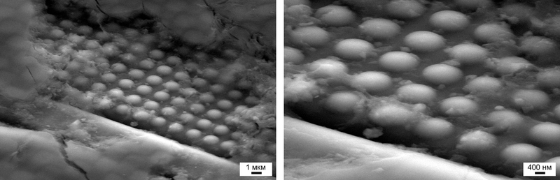 Взгляд изнутри: матрицы цифровых камер Взгляд изнутри: матрицы цифровых камер